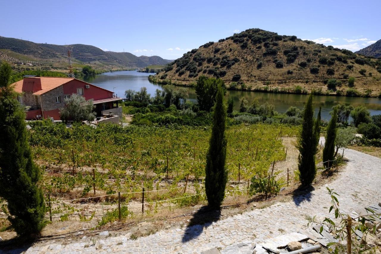 Olhares Do Douro Guest House Torre De Moncorvo Exterior photo