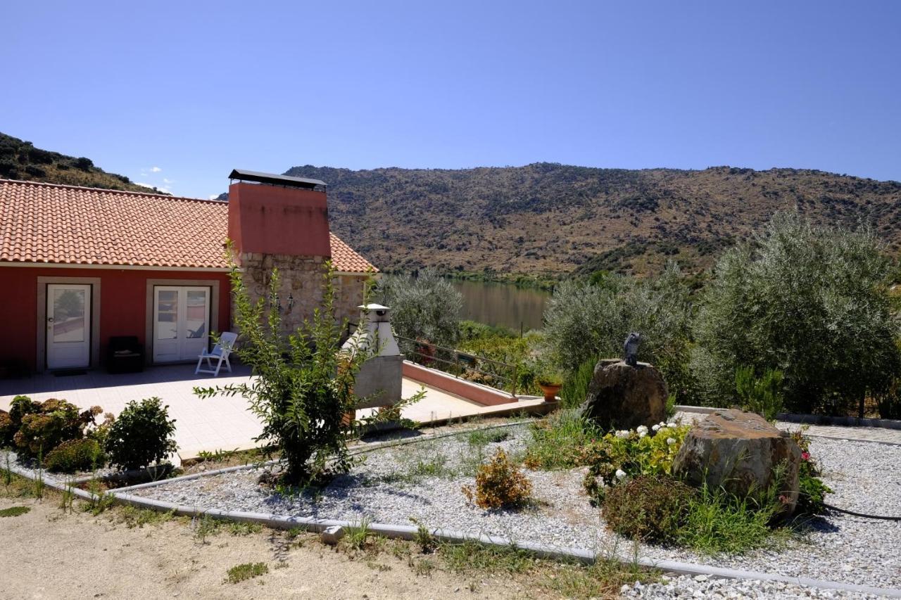 Olhares Do Douro Guest House Torre De Moncorvo Exterior photo