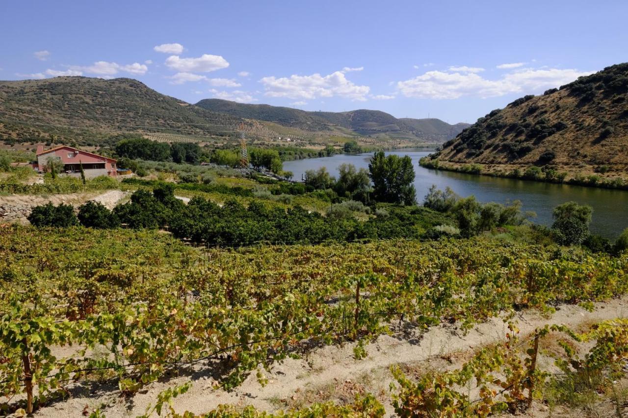 Olhares Do Douro Guest House Torre De Moncorvo Exterior photo