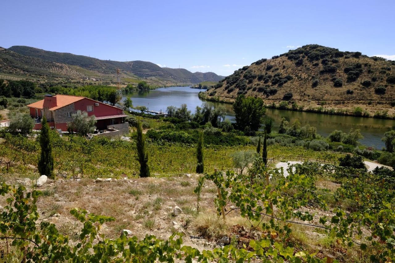 Olhares Do Douro Guest House Torre De Moncorvo Exterior photo