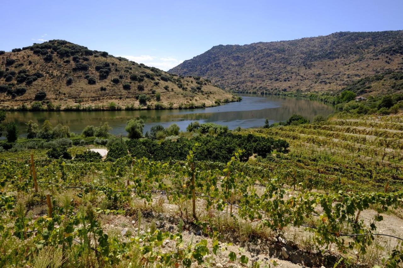 Olhares Do Douro Guest House Torre De Moncorvo Exterior photo