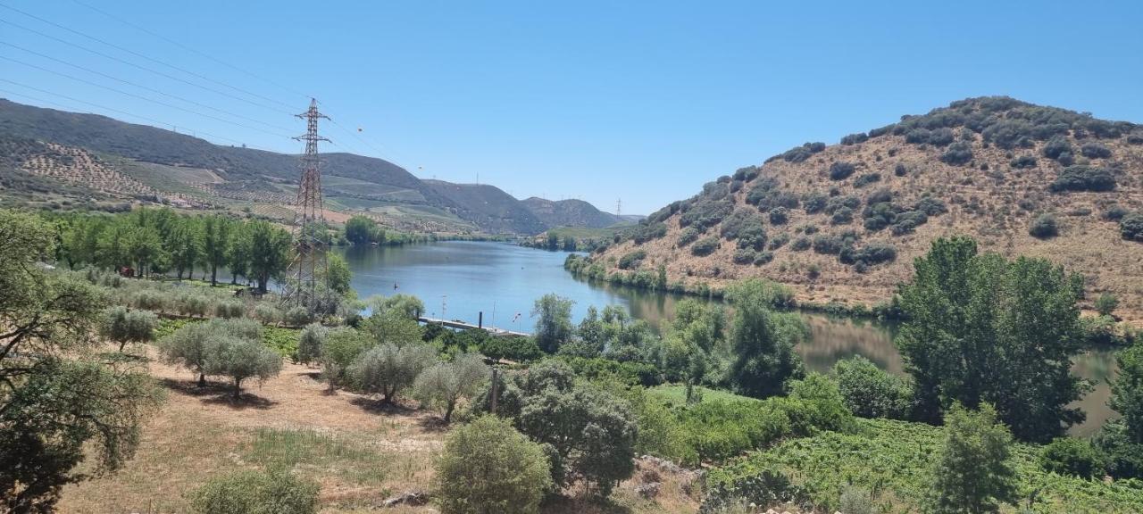 Olhares Do Douro Guest House Torre De Moncorvo Exterior photo
