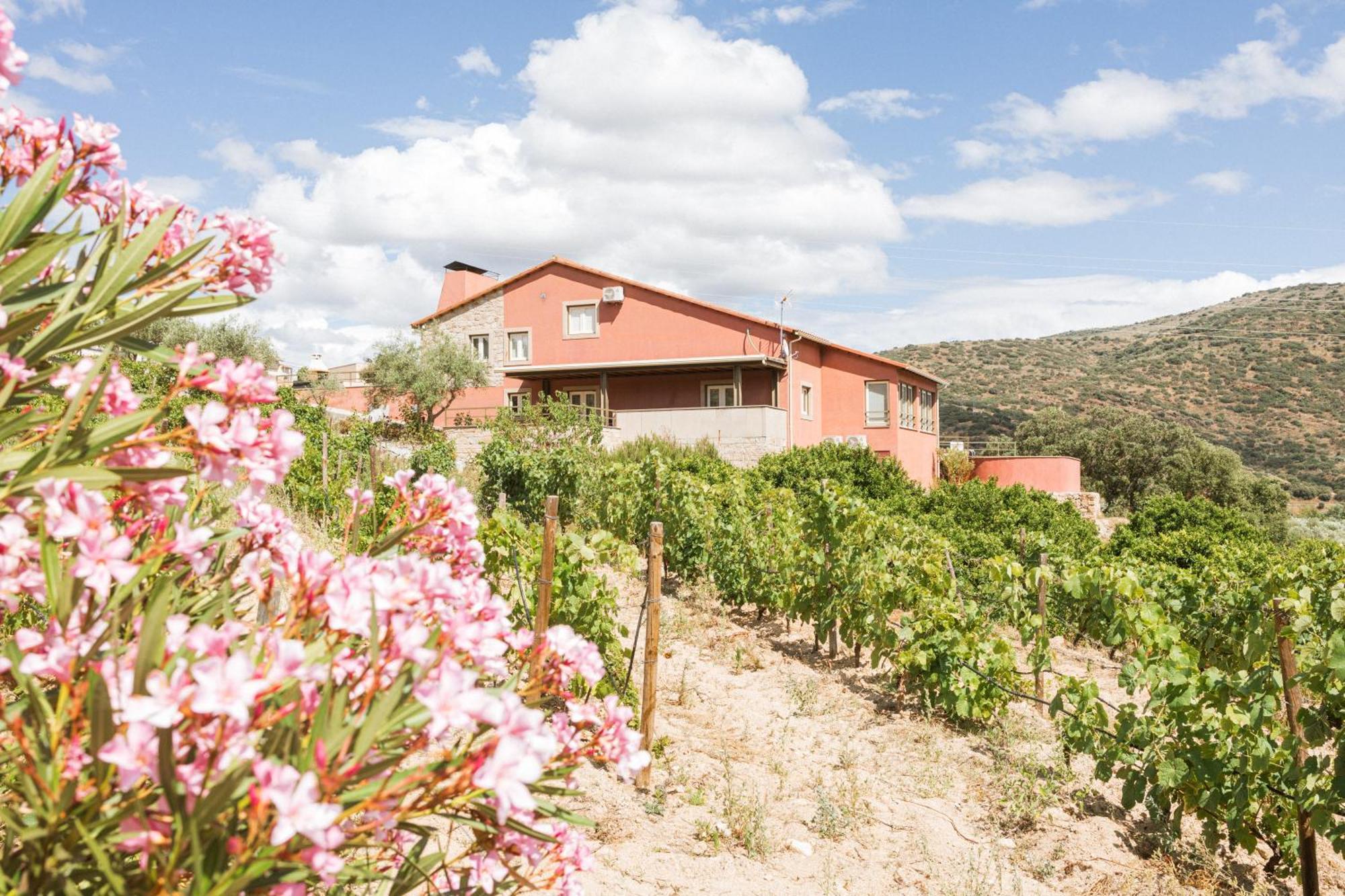 Olhares Do Douro Guest House Torre De Moncorvo Exterior photo