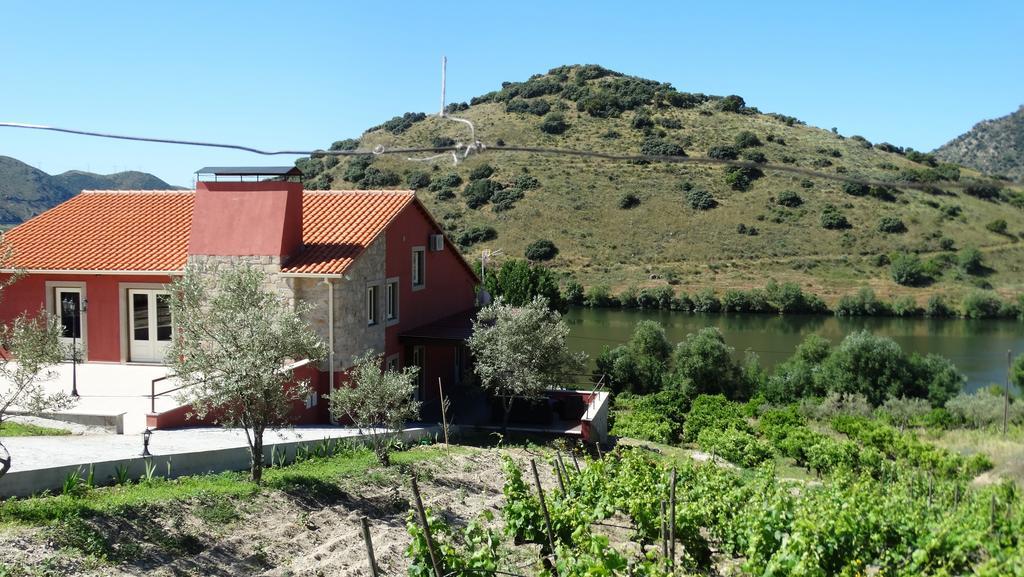 Olhares Do Douro Guest House Torre De Moncorvo Exterior photo